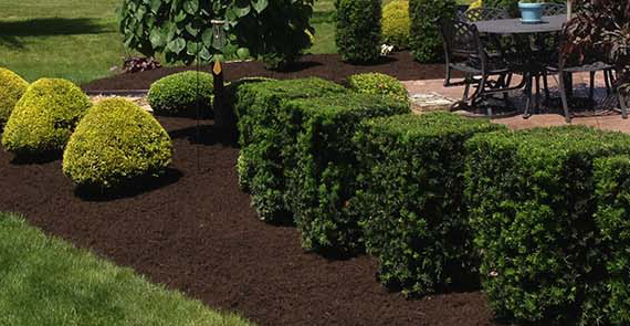 Landscape Gallery, Countryside Maintenance Lawn & Landscape